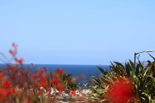 View out over the top of Lusty Glaze Beach